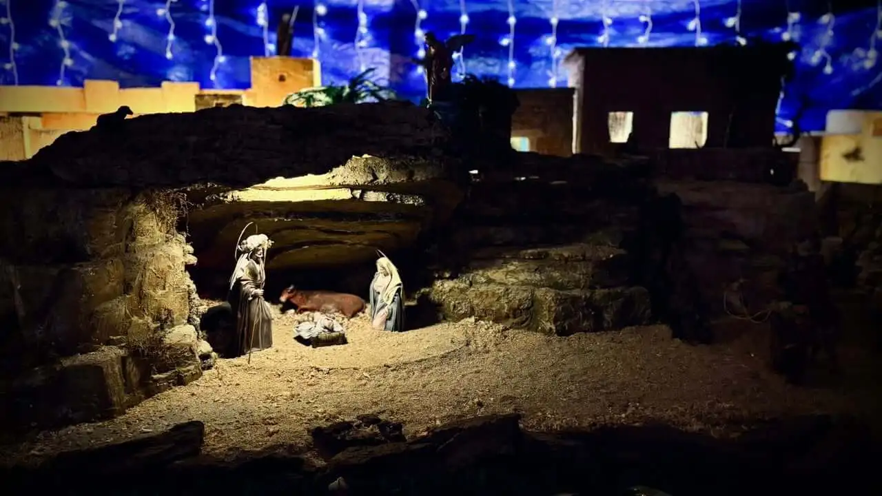 ¡Hoy se nos anuncia una gran alegría: ha nacido para nosotros el Salvador, Cristo el Señor!